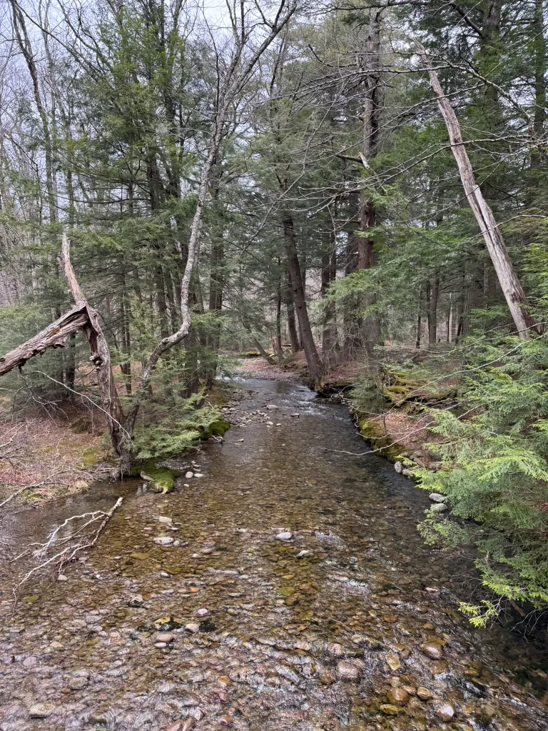 Hiking landscape in the Catskills, gallery image 78