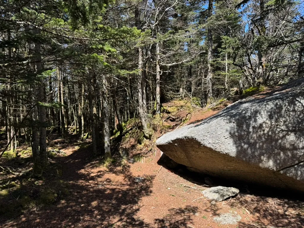 Hiking landscape in the Catskills, gallery image 82