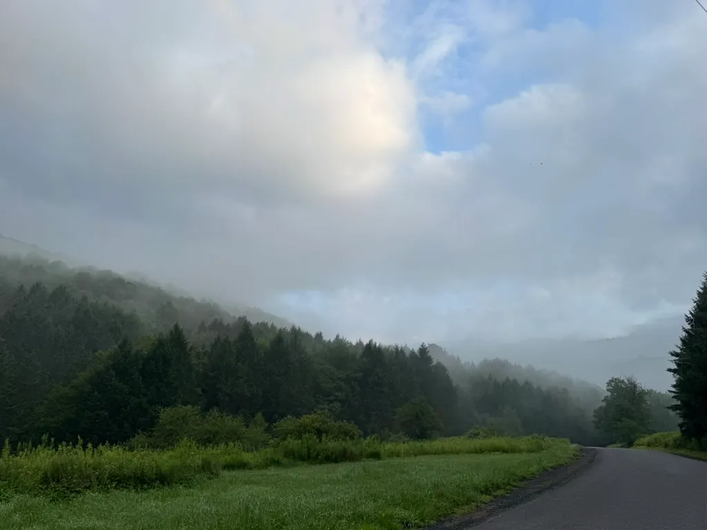 Hiking landscape in the Catskills, gallery image 86