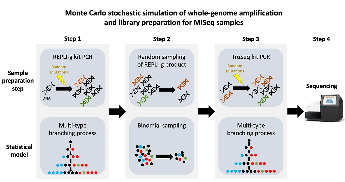 Monte Carlo stochastic simulation of mutations from amplifying genomic DNA