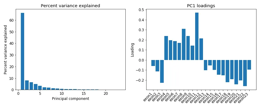 Figure 5: PCA on the normalized read count per Brca1 exon from Figure 3. Left figure shows the percent variance explained by each principal component (PC). Right figure shows the per-exon loadings for the first PC.
