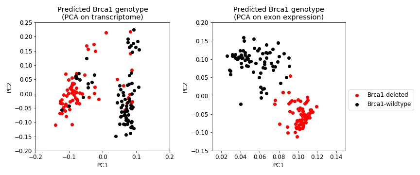 Figure 9: Genotype predictions for all samples. Shows the same data as in Figure 4, except the Brca1 genotype is predicted. Left: First two PCs from transcriptional data. Right: First two PCs from exon expression data.
